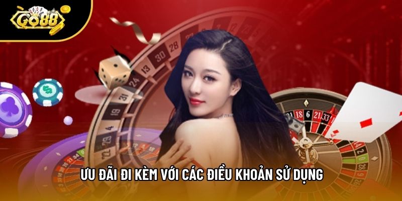 Ưu đãi đi kèm với các điều khoản sử dụng